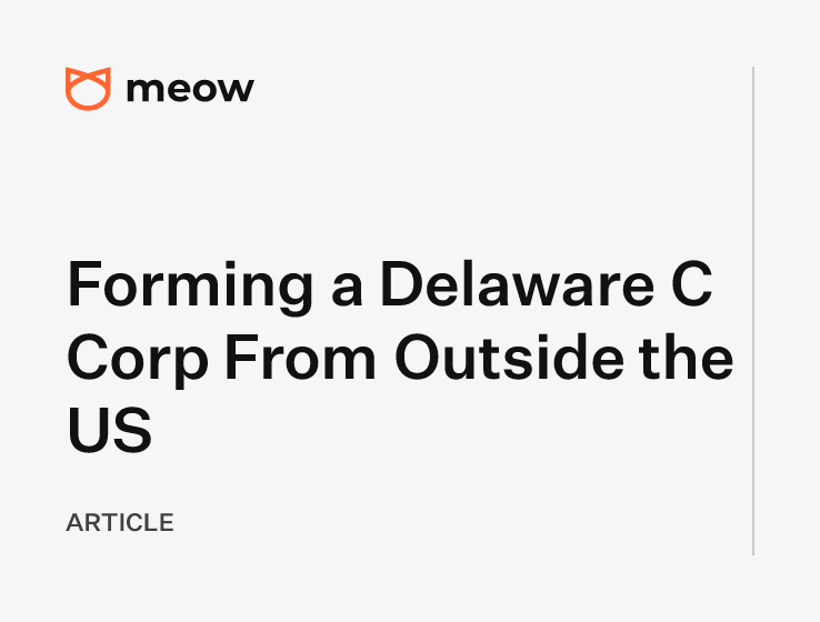 Forming a Delaware C Corp From Outside the US